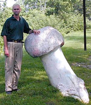 I found this big mushroom in Vermont