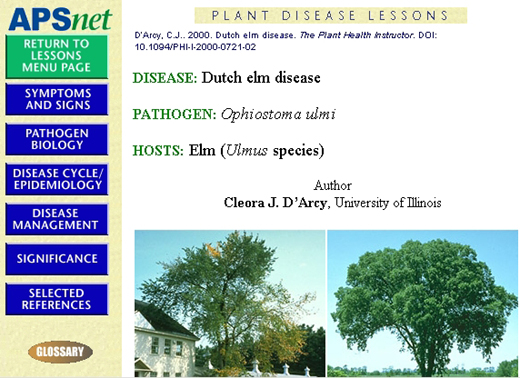 A plant disease lesson